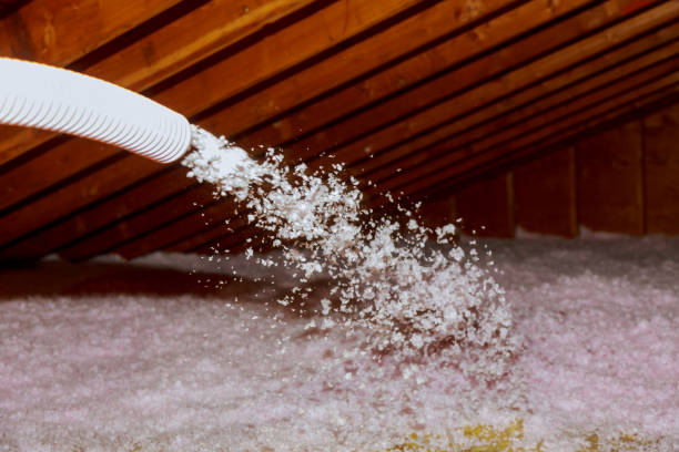 Best Commercial Insulation in National City, CA