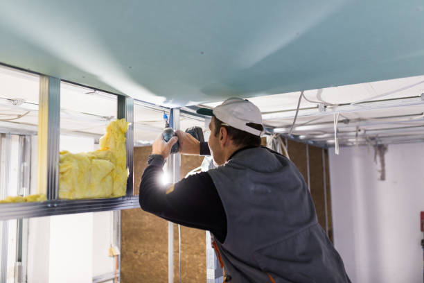 Best Residential Insulation in National City, CA
