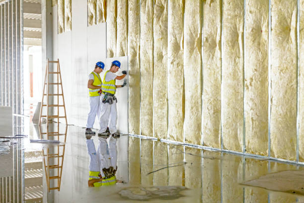 Best Insulation for Specific Applications in National City, CA